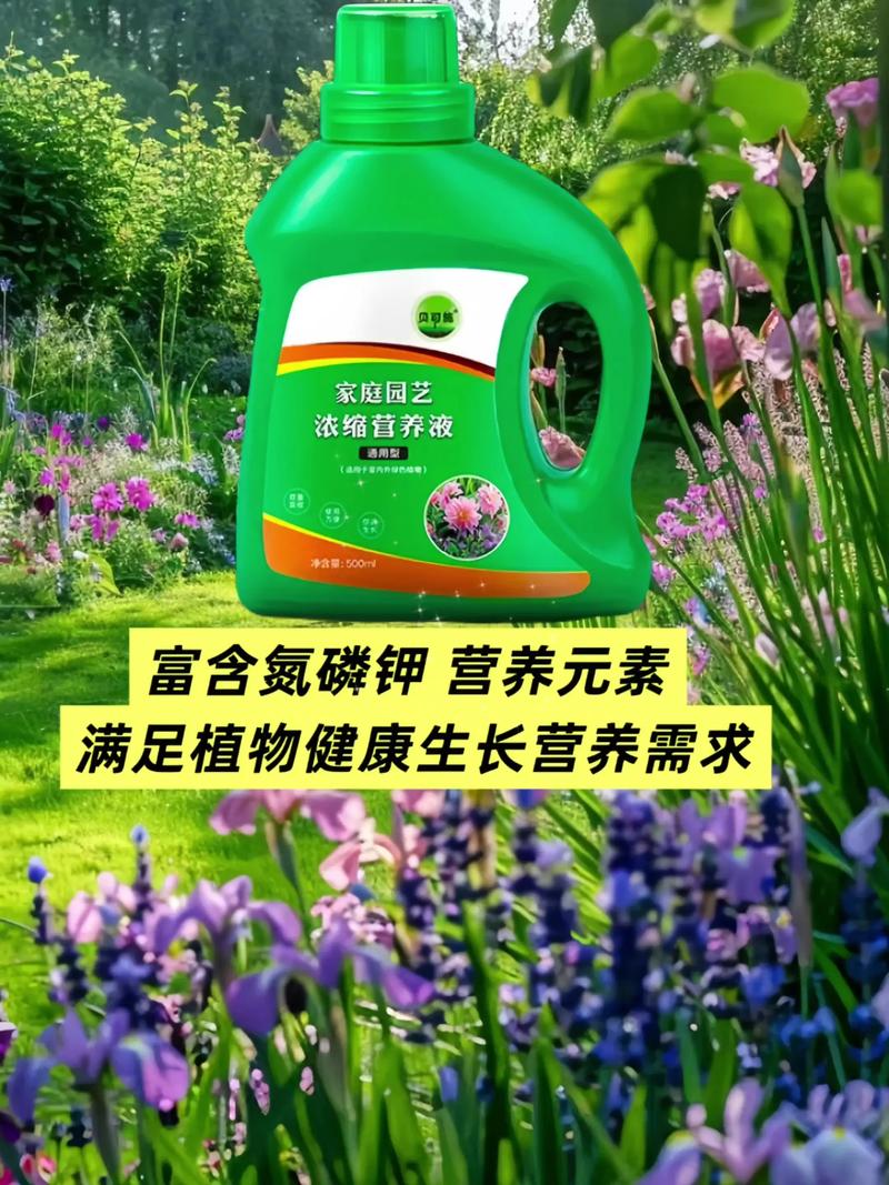 家庭养花常用肥料有哪些，家庭养花常用花肥-第3张图片-优品飞百科