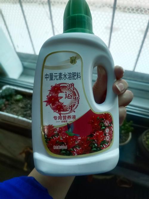 家庭养花常用肥料有哪些，家庭养花常用花肥-第4张图片-优品飞百科