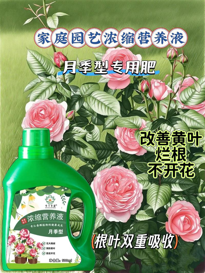 家庭养花常用肥料有哪些，家庭养花常用花肥-第8张图片-优品飞百科
