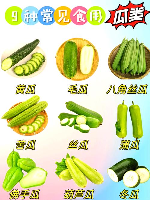 飞碟瓜怎么吃，飞碟瓜百度百科？-第5张图片-优品飞百科