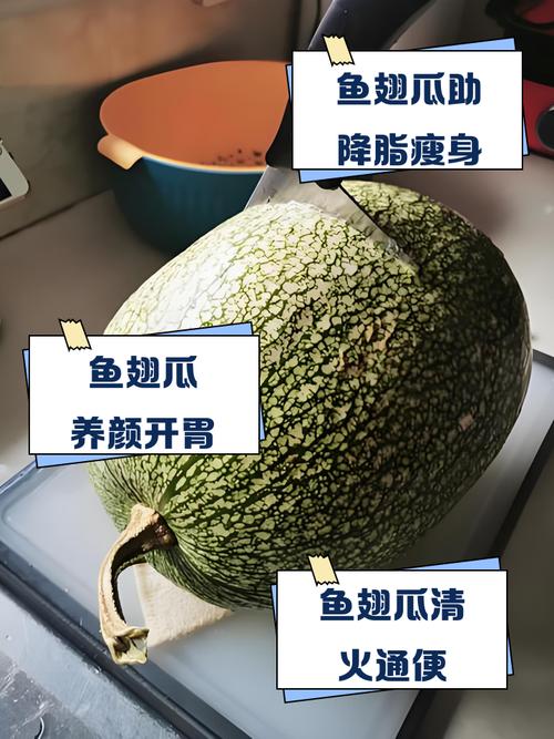 飞碟瓜怎么吃，飞碟瓜百度百科？-第6张图片-优品飞百科