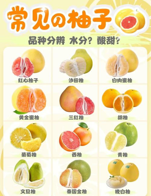 柚子新品种？柚子新品种介绍？