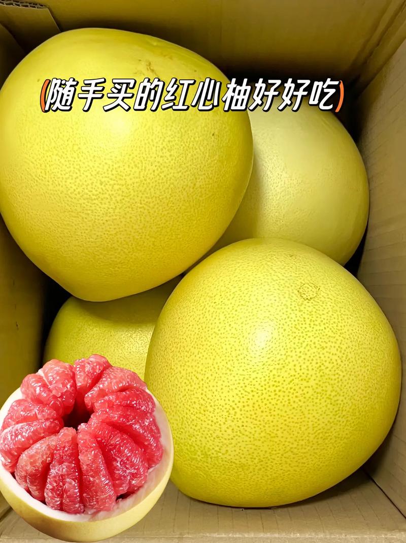 柚子新品种？柚子新品种介绍？-第3张图片-优品飞百科