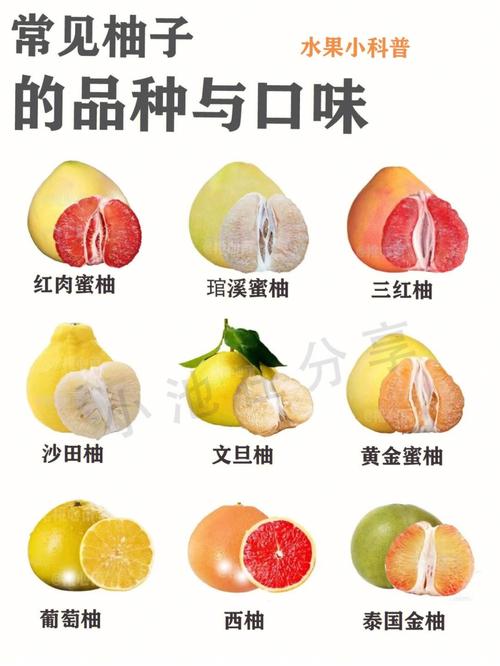 柚子新品种？柚子新品种介绍？-第7张图片-优品飞百科