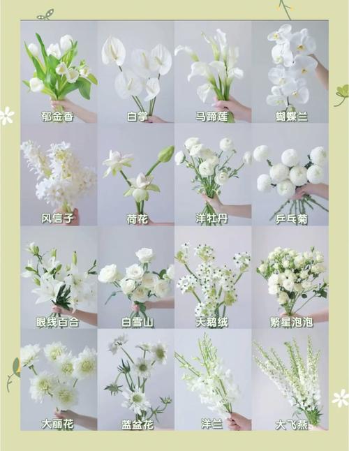 完全花有哪些花，完全花有哪几部分组成？-第3张图片-优品飞百科