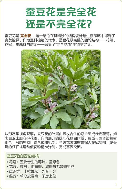 完全花有哪些花，完全花有哪几部分组成？-第4张图片-优品飞百科