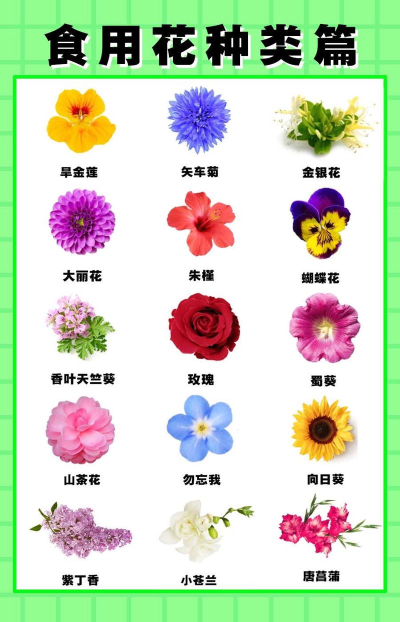 完全花有哪些花，完全花有哪几部分组成？-第8张图片-优品飞百科