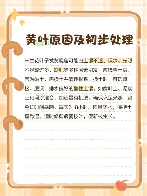 米兰花黄叶的原因和处理办法，米兰花叶发黄什么原因?？