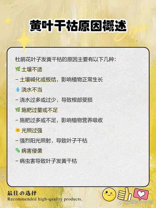 杜鹃花叶子全部发黄怎么办？杜鹃花叶子枯黄是什么原因？-第2张图片-优品飞百科