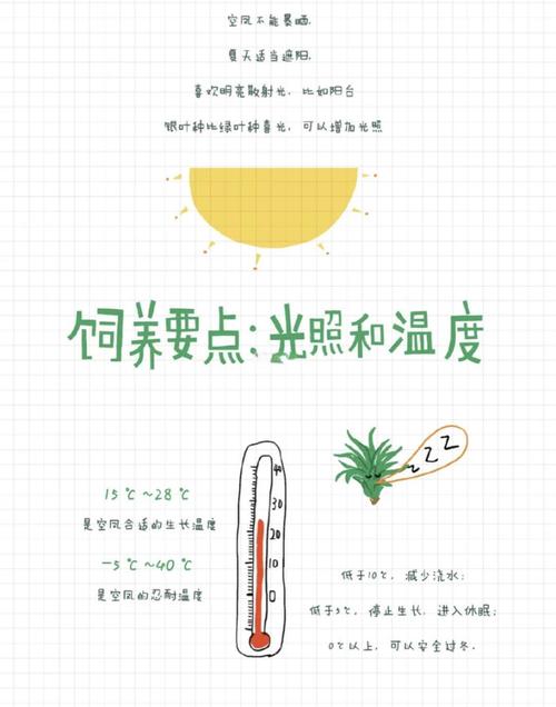 空气凤梨的虫害及防治方法，空气凤梨会养死吗？-第1张图片-优品飞百科