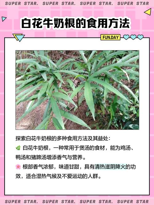 牛奶浇花的害处，牛奶浇花后怎么马上补救-第3张图片-优品飞百科