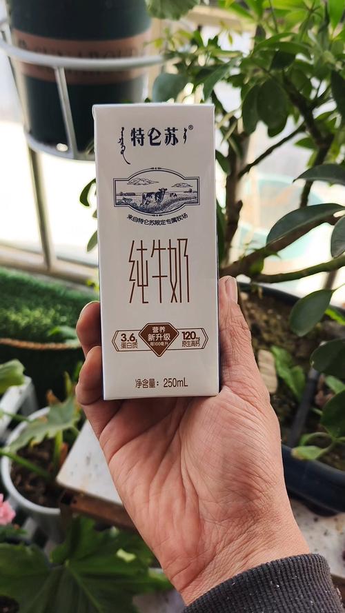 牛奶浇花的害处，牛奶浇花后怎么马上补救-第5张图片-优品飞百科