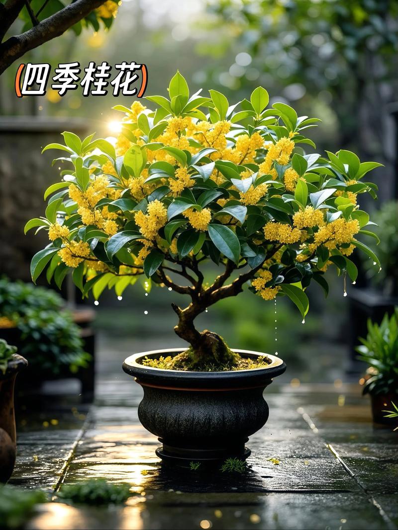 小孩最喜欢的6种花，书桌茶几摆一盆，健康又干净！，小孩最喜欢什么花-第4张图片-优品飞百科