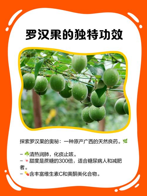 罗汉果的功效作用与禁忌？罗汉果的功效作用与禁忌是什么？-第8张图片-优品飞百科