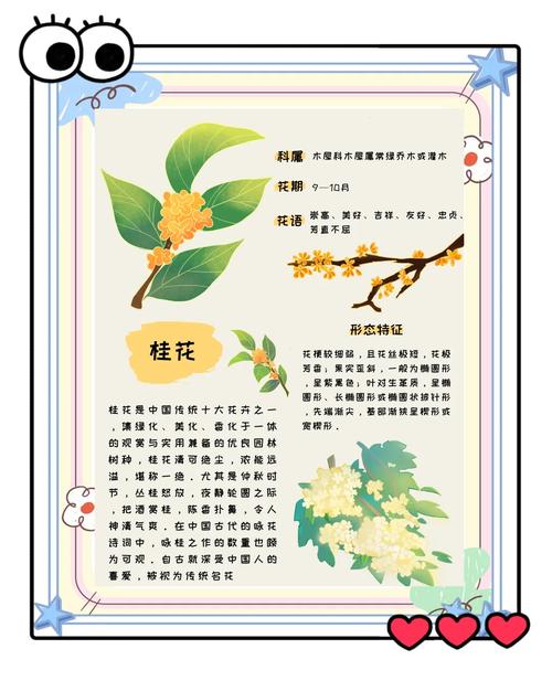 出门1个月，没有给这些花浇水，没想到长得更旺了！，一个月不浇水花会死吗？-第3张图片-优品飞百科