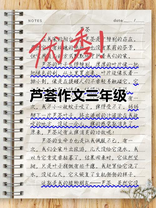 出门1个月，没有给这些花浇水，没想到长得更旺了！，一个月不浇水花会死吗？-第4张图片-优品飞百科