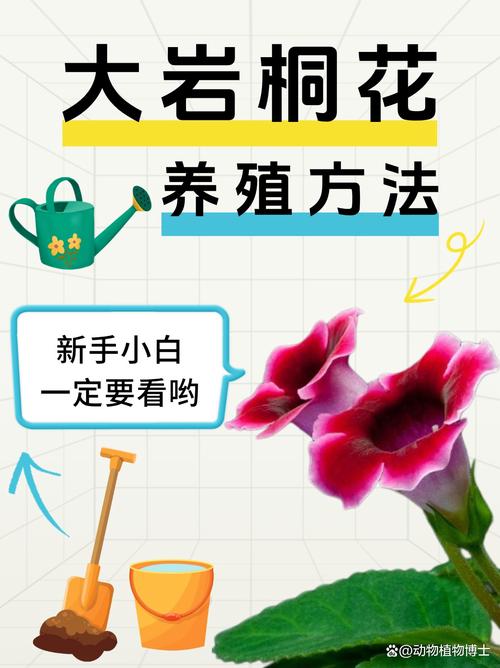 大岩桐有毒吗？？大岩桐品种介绍？-第7张图片-优品飞百科