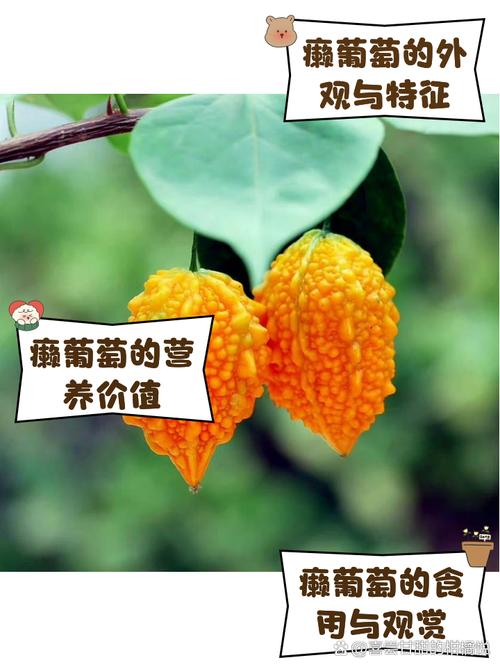 赖葡萄什么时候种？葡萄新品种排名前十？-第6张图片-优品飞百科