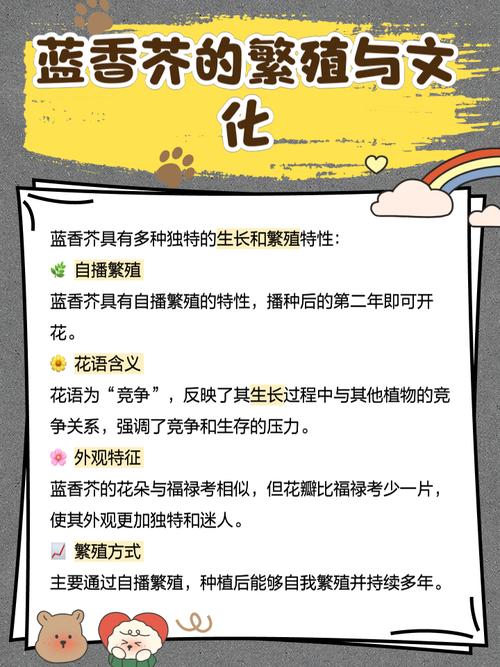 蓝香芥的作用是什么，蓝香芥图片大全大图-第3张图片-优品飞百科