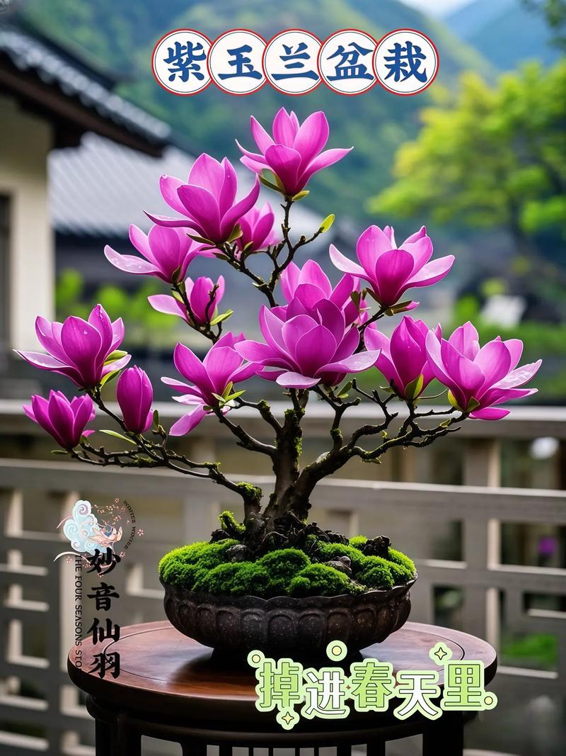 玉兰花象征着什么，玉兰花象征着什么意义-第6张图片-优品飞百科