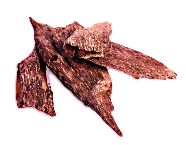 腊肠树的养殖方法和注意事项？腊肠树养护？-第5张图片-优品飞百科