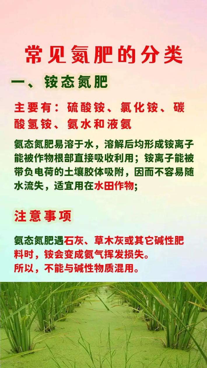氮肥有哪些，速效氮肥有哪些？-第3张图片-优品飞百科