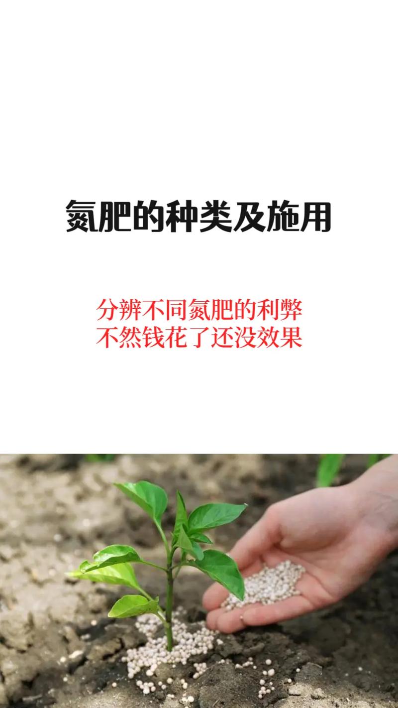 氮肥有哪些，速效氮肥有哪些？-第6张图片-优品飞百科