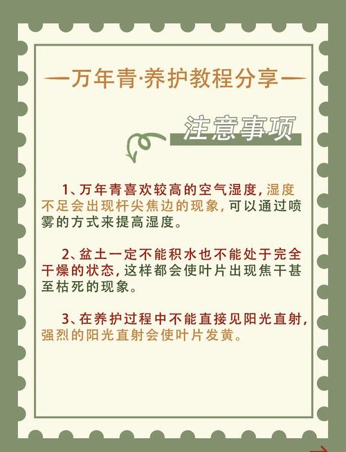 阳台如何养万年青，需要注意什么，阳台种万年青好吗