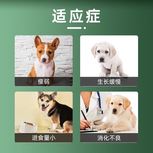 厚朴的养殖方法和注意事项，厚朴树百度百科-第2张图片-优品飞百科