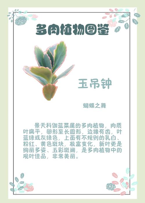 玉吊钟的养殖方法和注意事项？玉吊钟的养殖方法和注意事项图片？