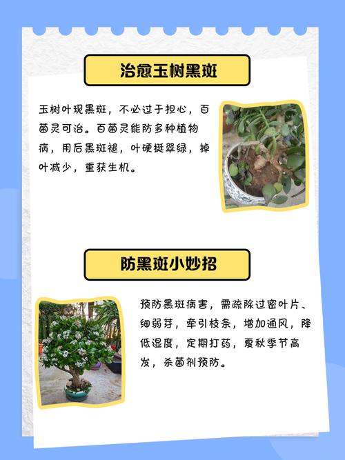 玉吊钟的养殖方法和注意事项？玉吊钟的养殖方法和注意事项图片？-第2张图片-优品飞百科