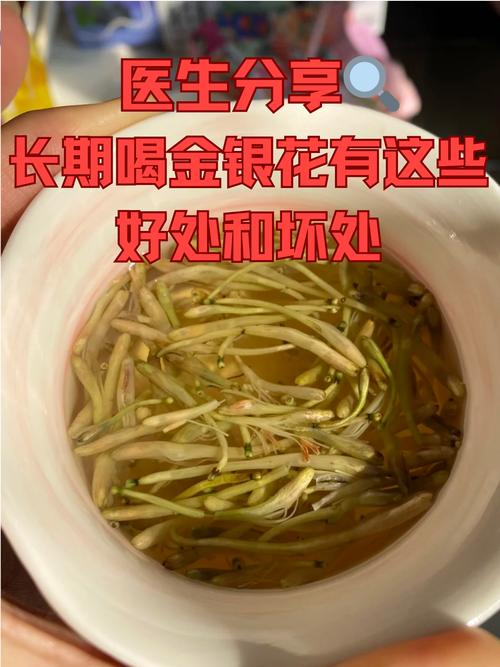 金银花的功效与作用，金银花的功效与作用决明子功效与作用？