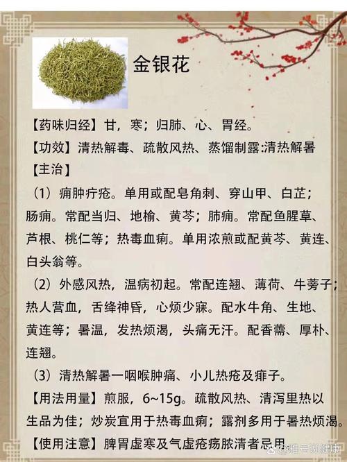 金银花的功效与作用，金银花的功效与作用决明子功效与作用？-第7张图片-优品飞百科