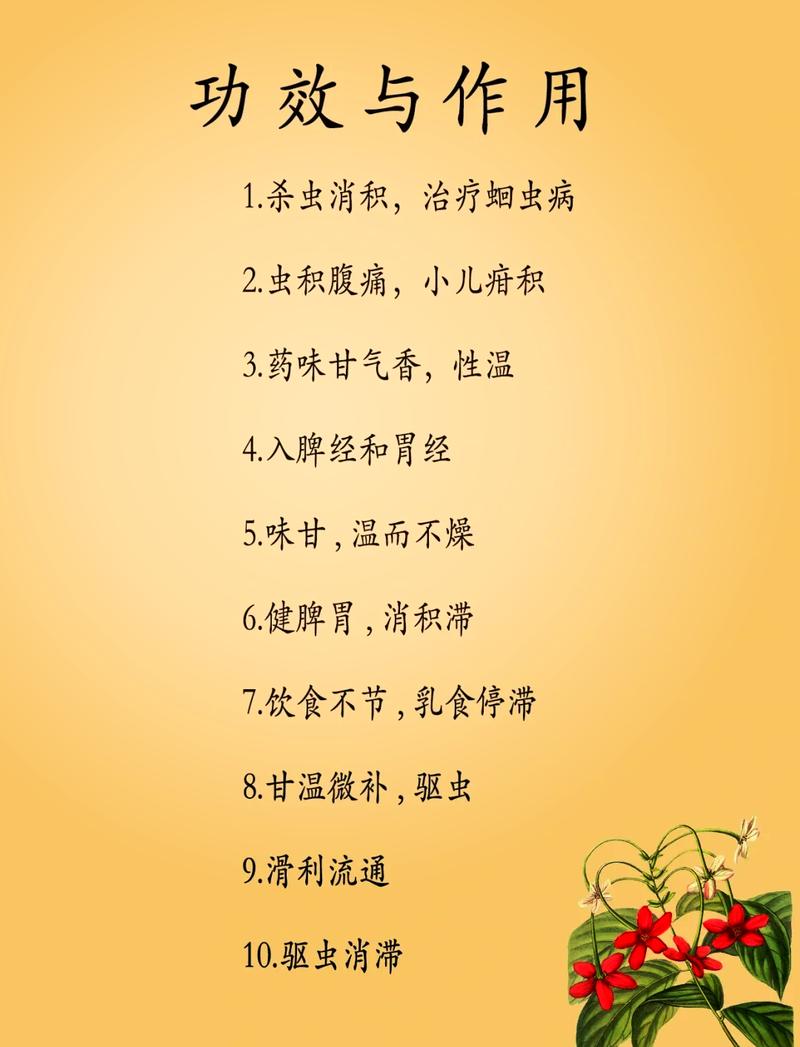 使君子的花语和寓意，有什么传说故事，使君子花名的来历-第3张图片-优品飞百科